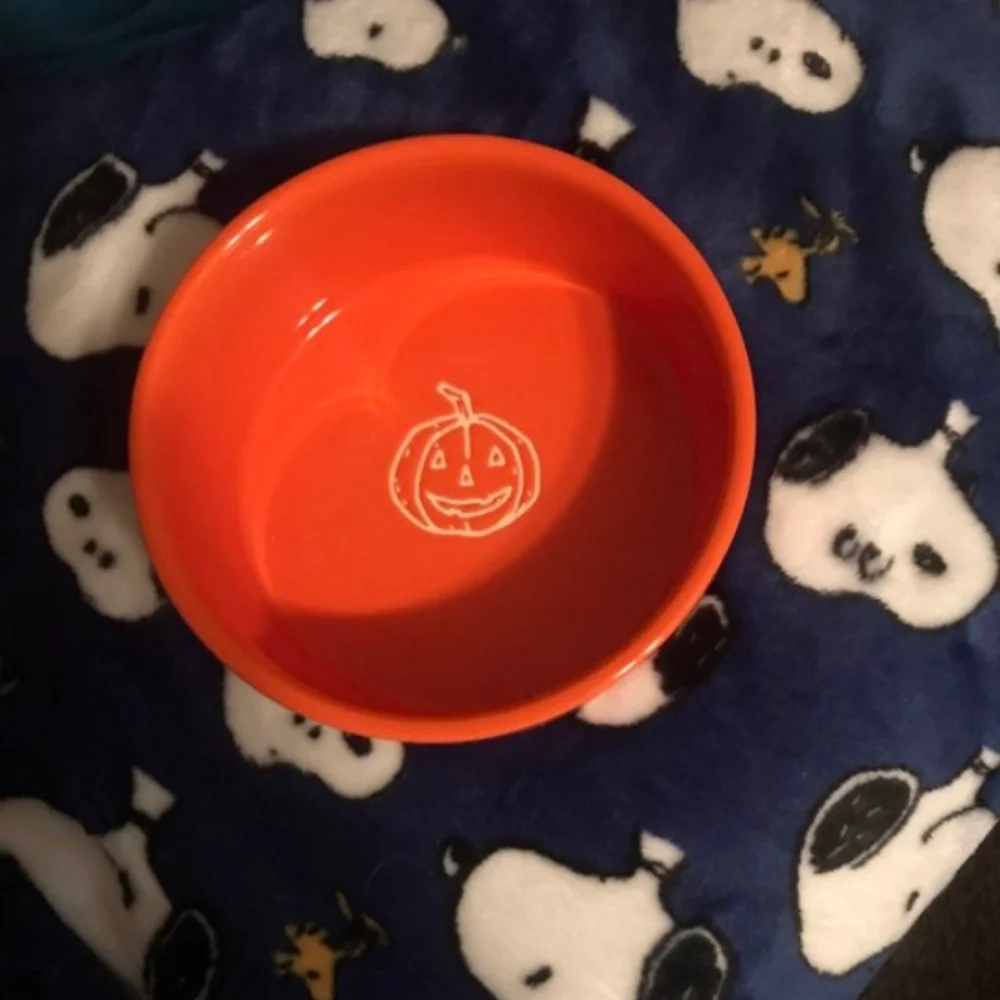 NWT Rae Dunn by Magenta Lick or Treat Medium Pet Dish